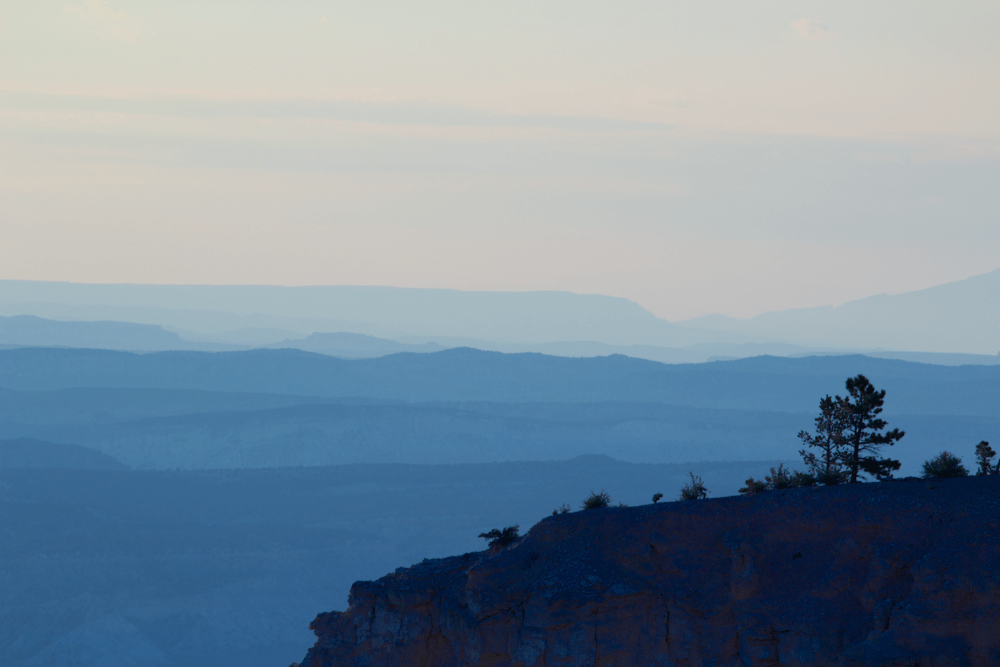 identical to the above picture, but with an adjusted white balance