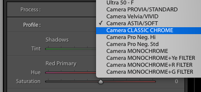 After Profile Options.png