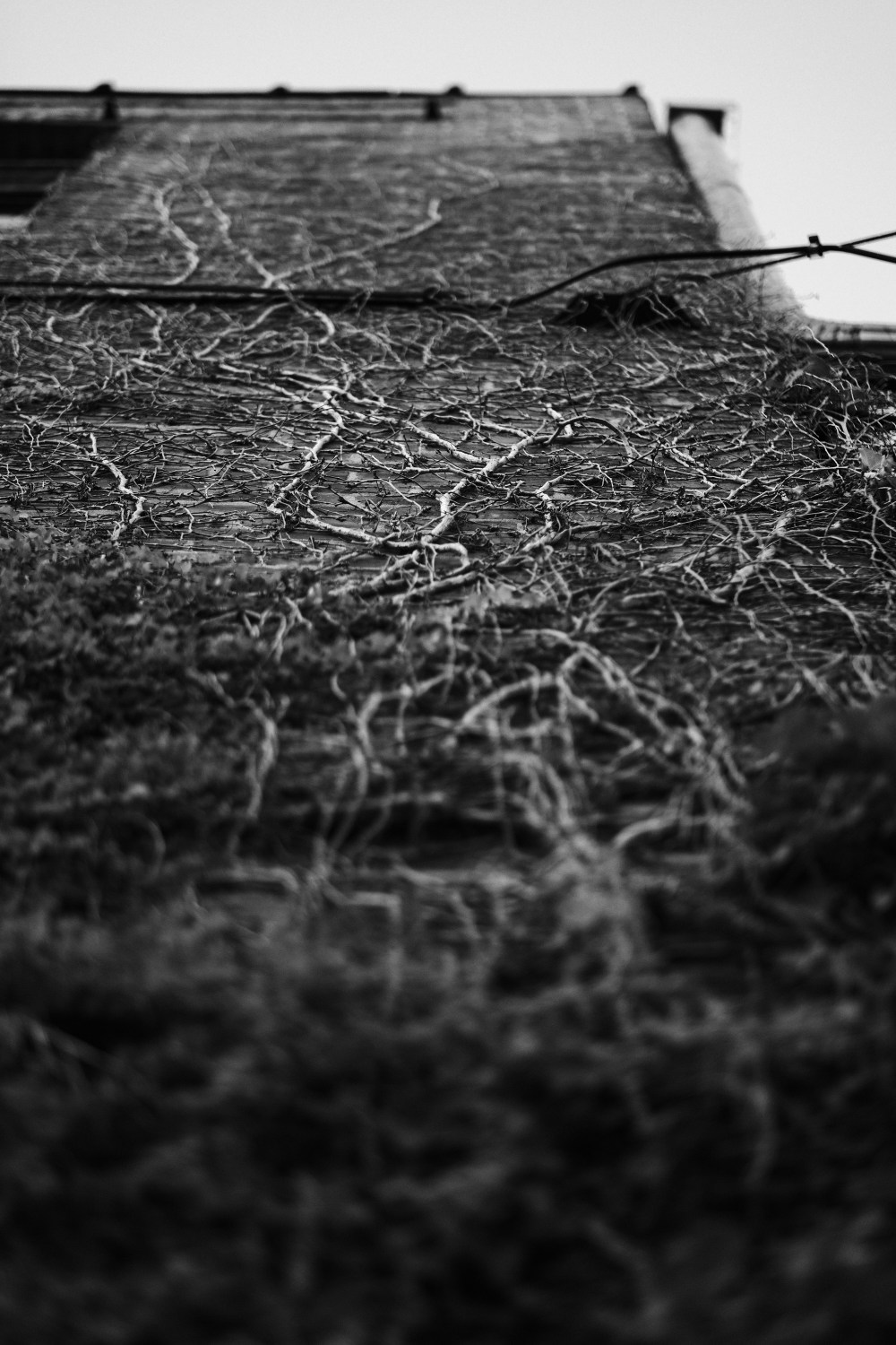 day15_xt2_dscf0121_20161007_56mm_1-2_480_200