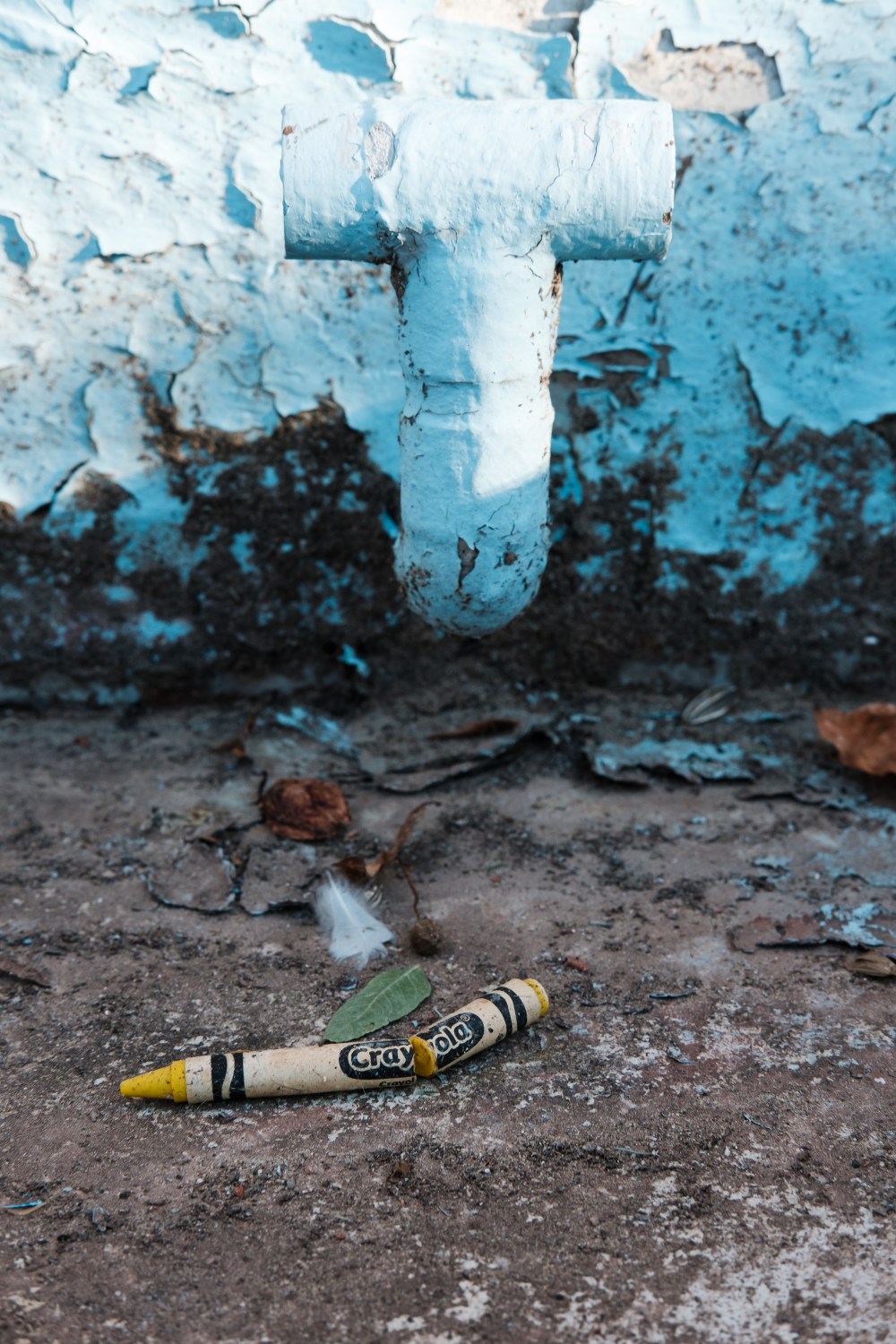 day6_xt2_dscf0050_20160929_35mm_8_125_500