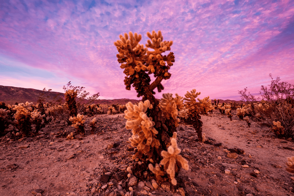 potw112_xt1_xf1024_dsf1053_20151221_8_8_200