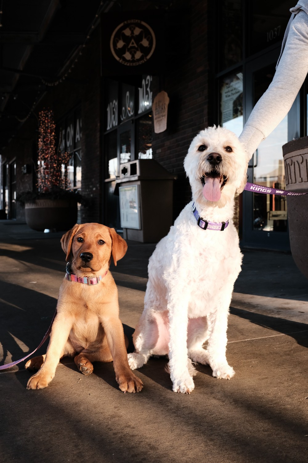 day18_X100F_DSCF0409_20170319_56_125_320